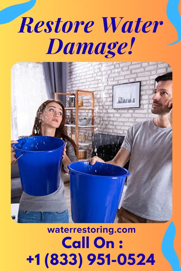 water restoration Premier Storm Damage Pros Republic
