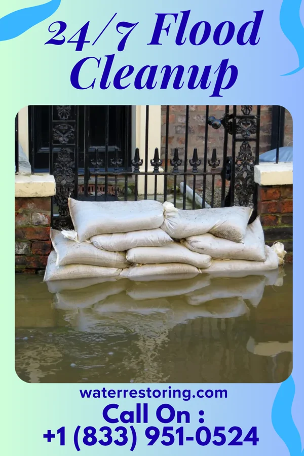24/7 Flood Cleanup in Republic, MO