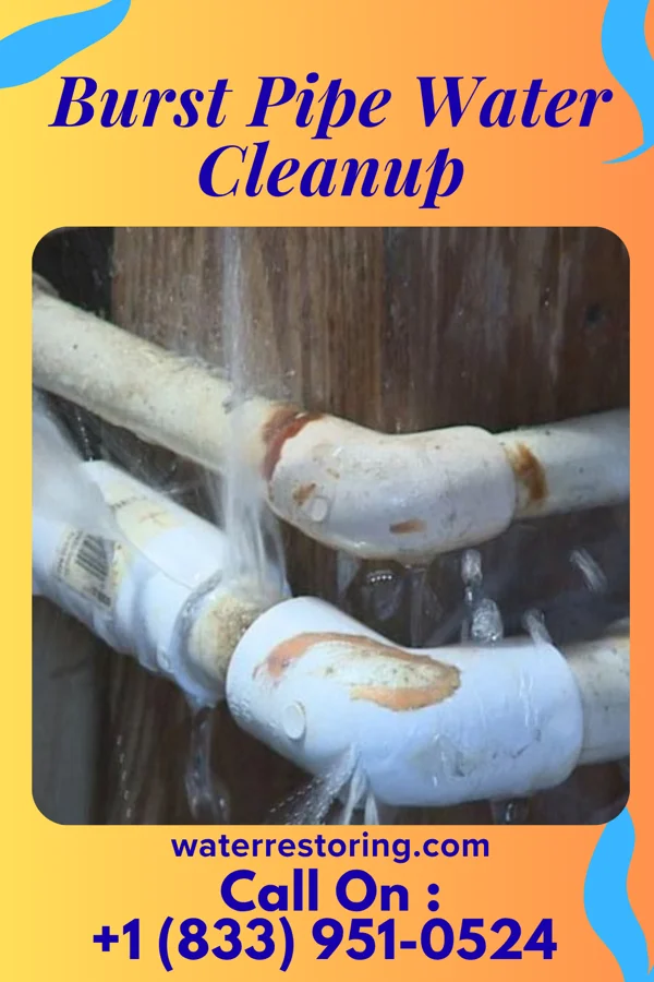 Burst Pipe Water Cleanup in Republic, MO