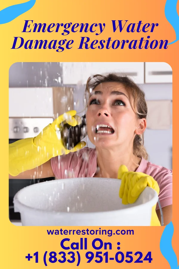 Emergency Water Damage Restoration in Republic, MO