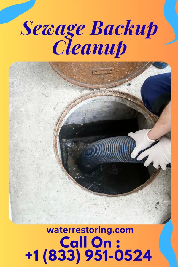 Sewage Backup Cleanup in Republic, MO