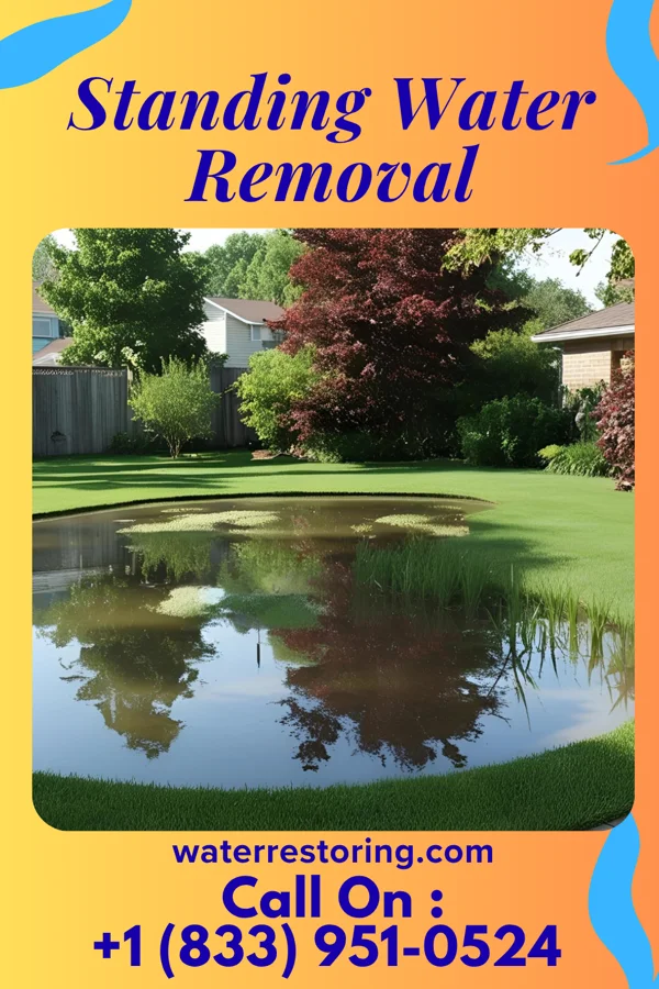 Standing Water Removal in Republic, MO